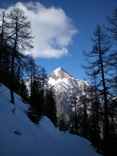 Cesana Torinese - Monte Chamberton Cesana Torinese - Monte Chamberton