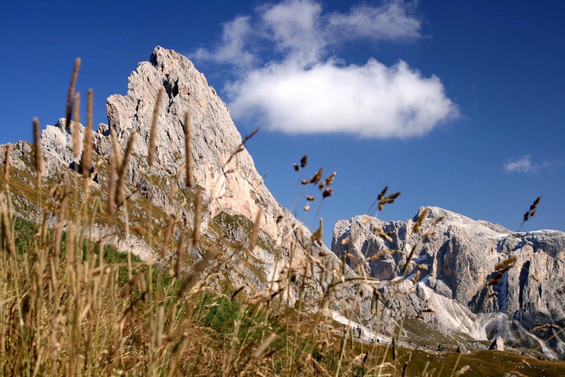 ''GRUPPO DELLE ODLE (Parco naturale Puez-Odle) dalla Seceda'' - Santa Cristina Valgardena