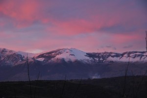il Dolcedorme si sta addormentando…
