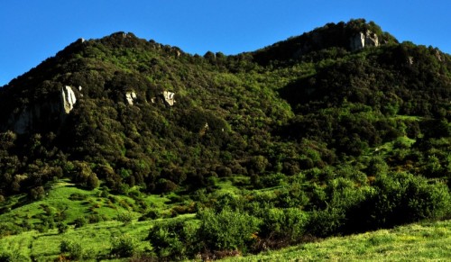 Nicosia - Vetta dell'Altesina Nicosia - Vetta dell'Altesina