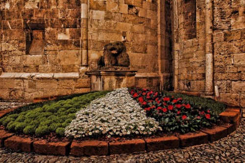 Albenga - tricolore floreale.. Albenga - tricolore floreale..