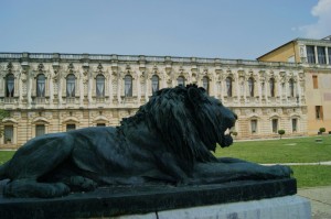 Per informazioni rivolgersi a mio fratello.