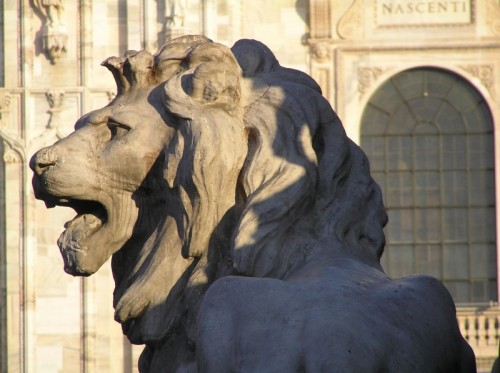 Milano - proteggo il Duomo