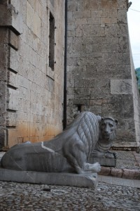 Due leoni a confronto