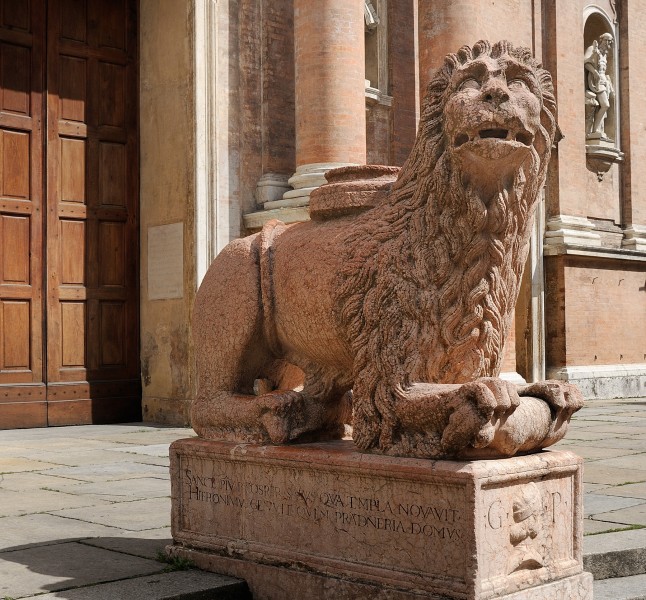 ''Sguardo di sottomissione'' - Reggio Emilia