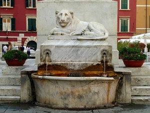 I piccioni me li sono mangiati tutti