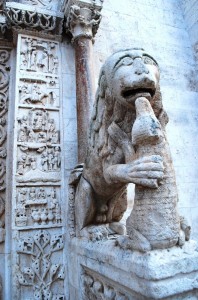 Il Leone e il cucciolo!