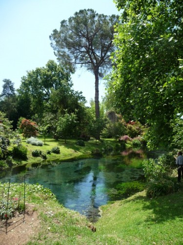 Cisterna di Latina - Giardino incantato Cisterna di Latina - Giardino incantato