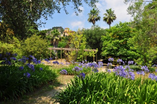 Ventimiglia - Che colori la natura! Giardino Botanico Villa Hanbury