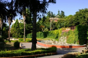 Chi ha fregato le papere