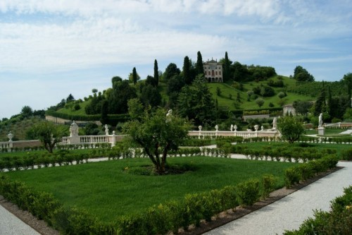 Asolo - Green Asolo - Green