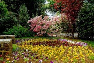 il giardino della scuola