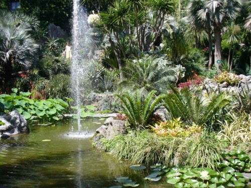 Forio - Giardini La Mortella Forio - Giardini La Mortella