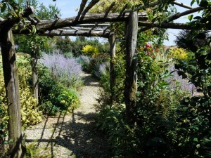 Romantico sentiero….