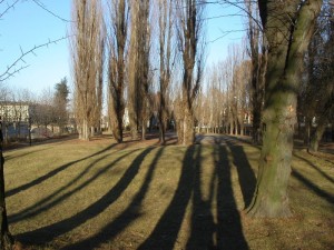 giardino Leone Ginzburg