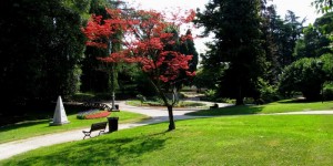 Foglie rosse nel Giardino dell’Arena