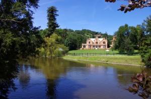 Il paradiso degli anatidi…