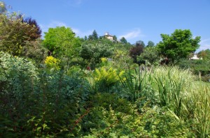 affascinante biodiversità…