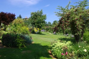 tavolozza di colori…..