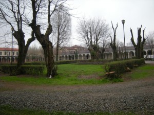 Collegno, Parco della Certosa