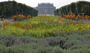 Controluce ai giardini della Venaria Reale