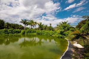 l’orto botanico di Bari