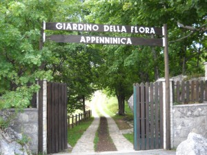 giardino delle farfalle