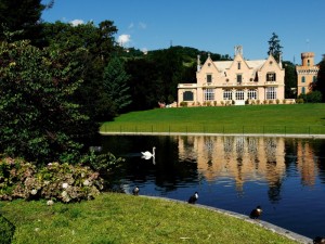 anche il cigno è Narciso…..