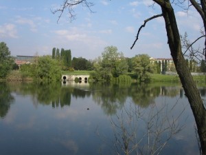 confluenza Po Stura, Parco Colletta