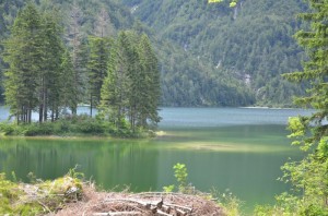 verde lago…..