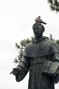 il monaco e il piccione