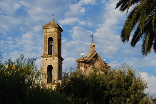 Bitritto - Fra gli alberi! Bitritto - Fra gli alberi!