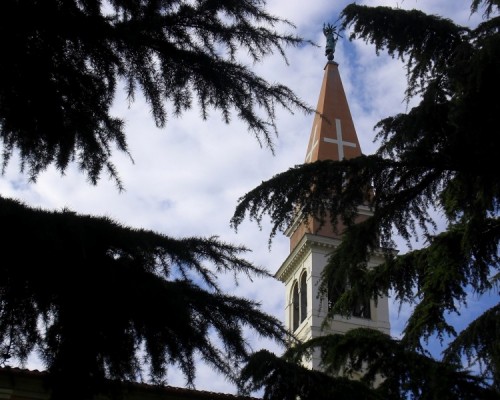 Silea - Timido Silea - Timido