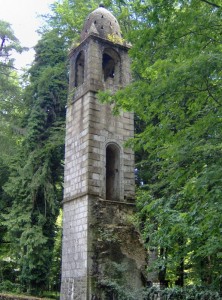 Tra faggi ed abeti nella Foresta Umbra