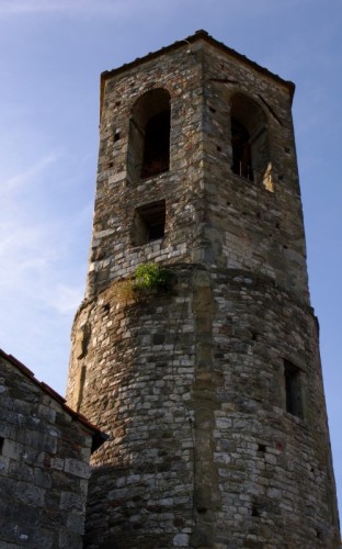 Castel Focognano - Pieve di Socana