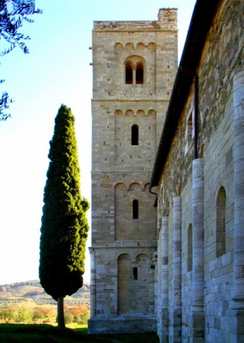 Montalcino - Il cipresso e il campanile