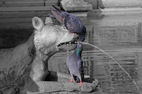 Siena - Toni e Bepi, "veneziani" in vacanza