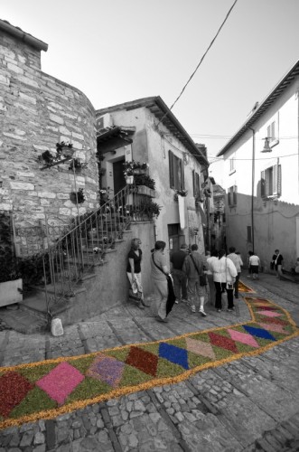 Spello - Non calpestare i fiori... Spello - Non calpestare i fiori...