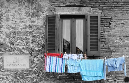 Gubbio - Cane Pensieroso Gubbio - Cane Pensieroso