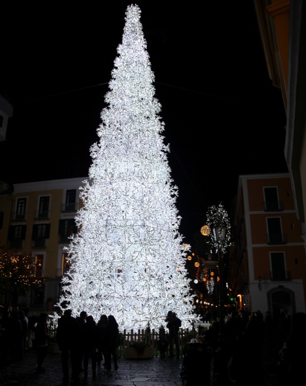 ''white Tree'' - Salerno