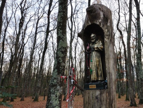 Vetralla - L'Edicola nel Bosco Vetralla - L'Edicola nel Bosco