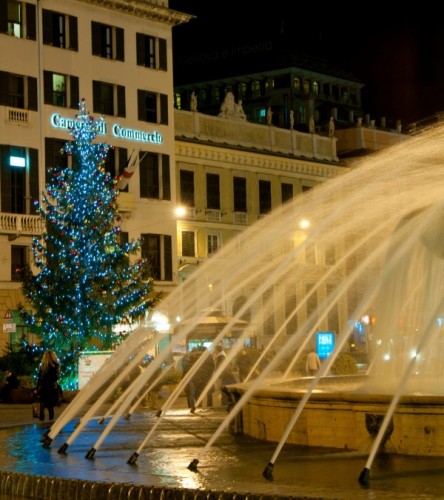 Genova - l'albero della piazza
