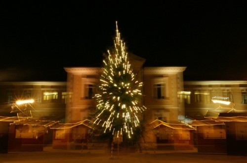 Loria - L'albero fuggente Loria - L'albero fuggente