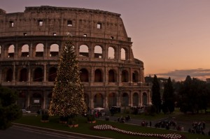 Abete al Colosseo-Roma