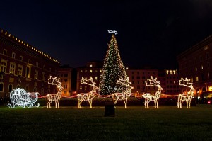 Le renne di Babbo Natale a Piazza Venezia-Roma