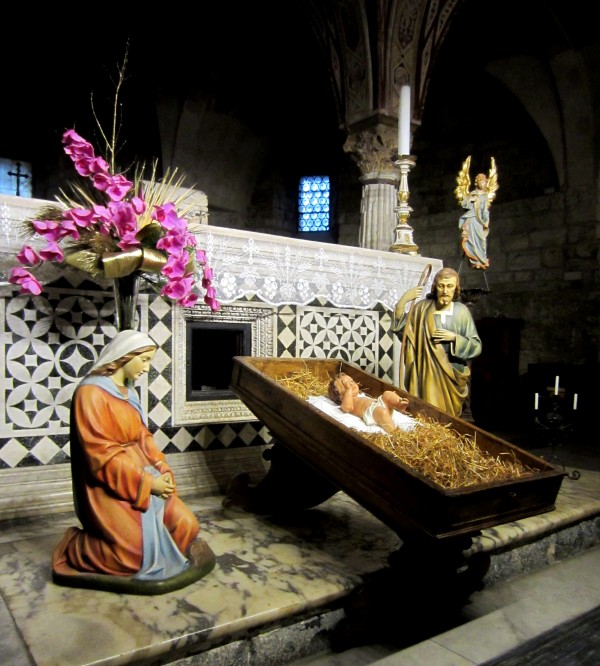 ''Orchidee per la Madonna'' - Firenze