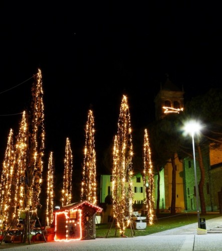 San Fermo della Battaglia - Il bosco incantato.