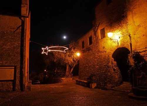 Andora - Decorazioni artificiali e... naturali Andora - Decorazioni artificiali e... naturali