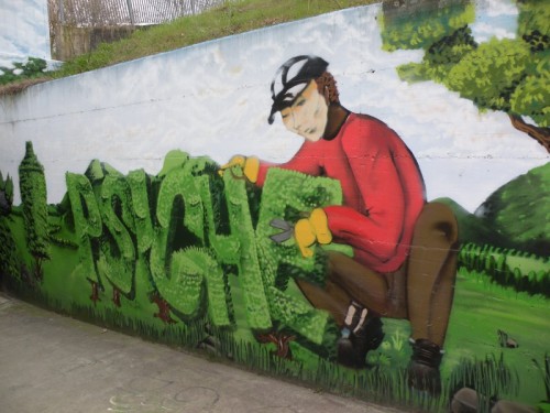 Casalecchio di Reno - giardiniere Casalecchio di Reno - giardiniere