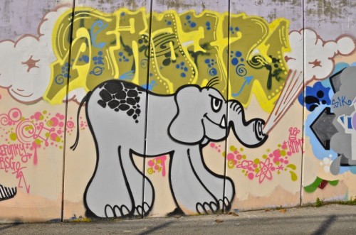 Pisa - L'elefante